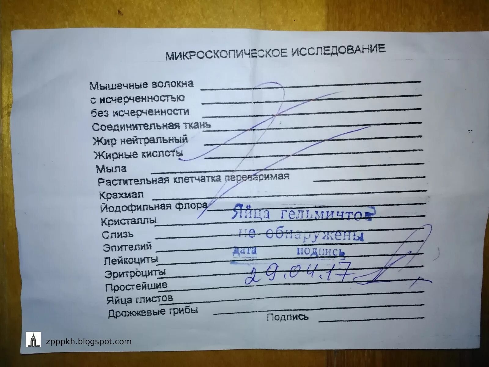 Анализ на яйца глистов. Исследование кала на яйцеглист. Кал на яйца глистов направление на исследование. Результаты исследования кала на яйца глист.