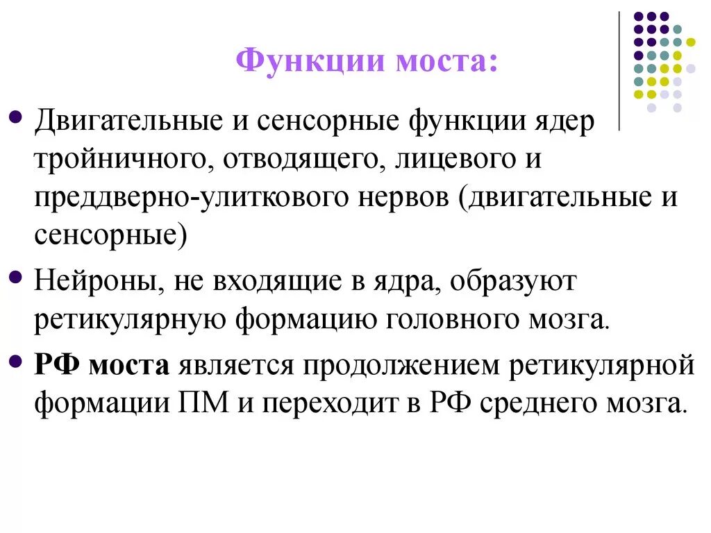 Какую функцию выполняет мост мозга. Функции моста головного мозга кратко. Мост мозга функции кратко. Мост выполняет функции. Мост функции кратко.