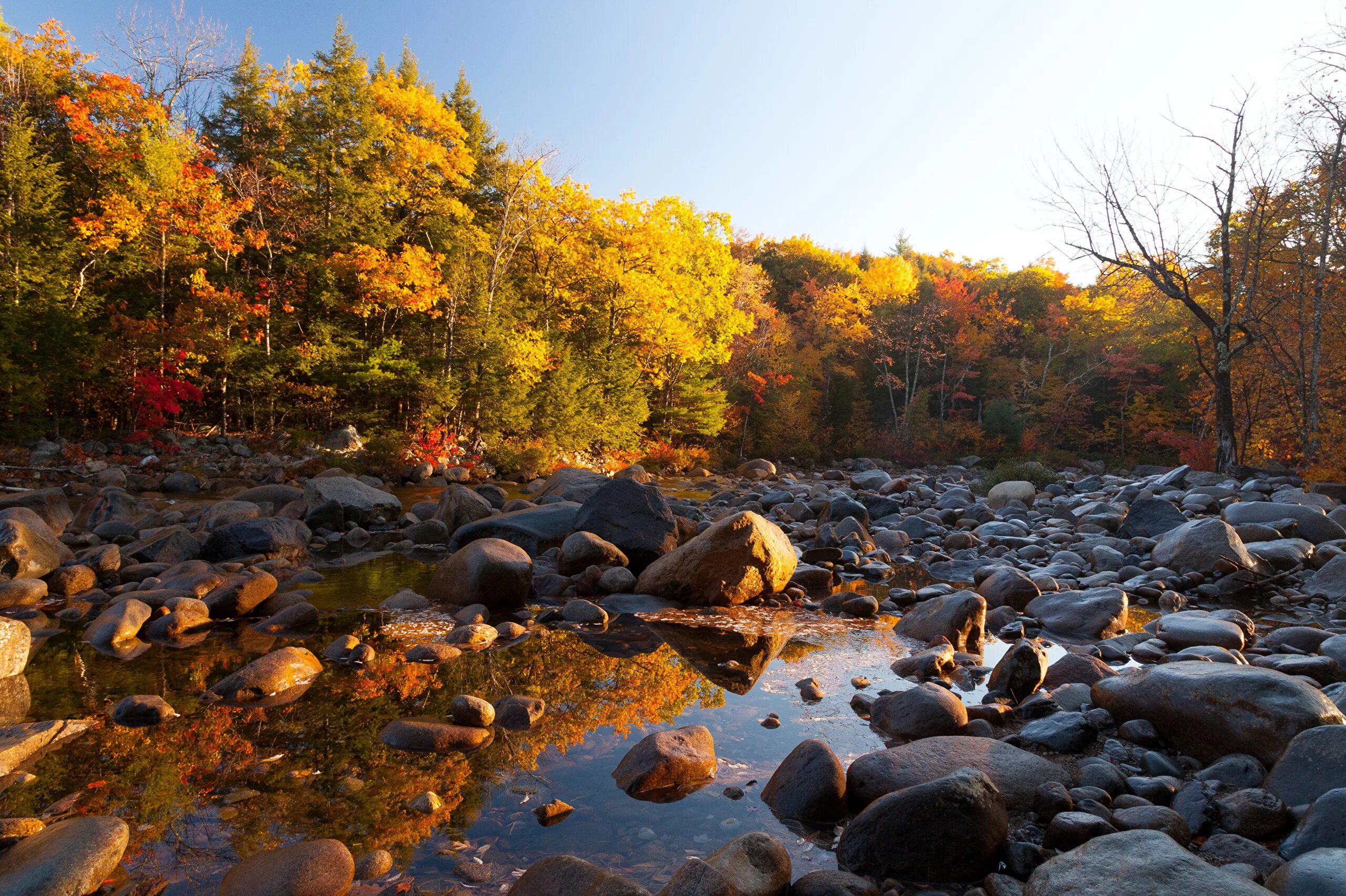 Ручей осенью. Осенний лес. Осень речка. Осень фото. Осенний ручей.