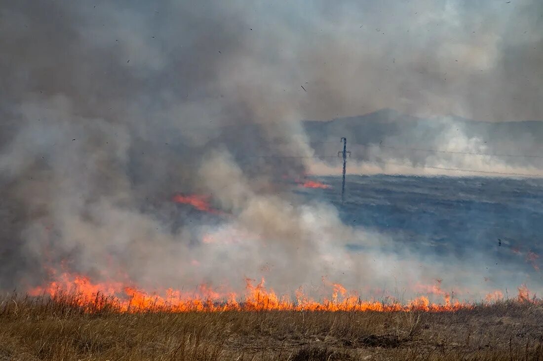 Пожары в лесах забайкалья. Забайкальский край лесные пожары сегодня. Катастрофические пожары в забайкалье. Лесные пожары забайкальского края. Лесные пожары забайкалье.