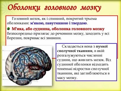 Головною темою