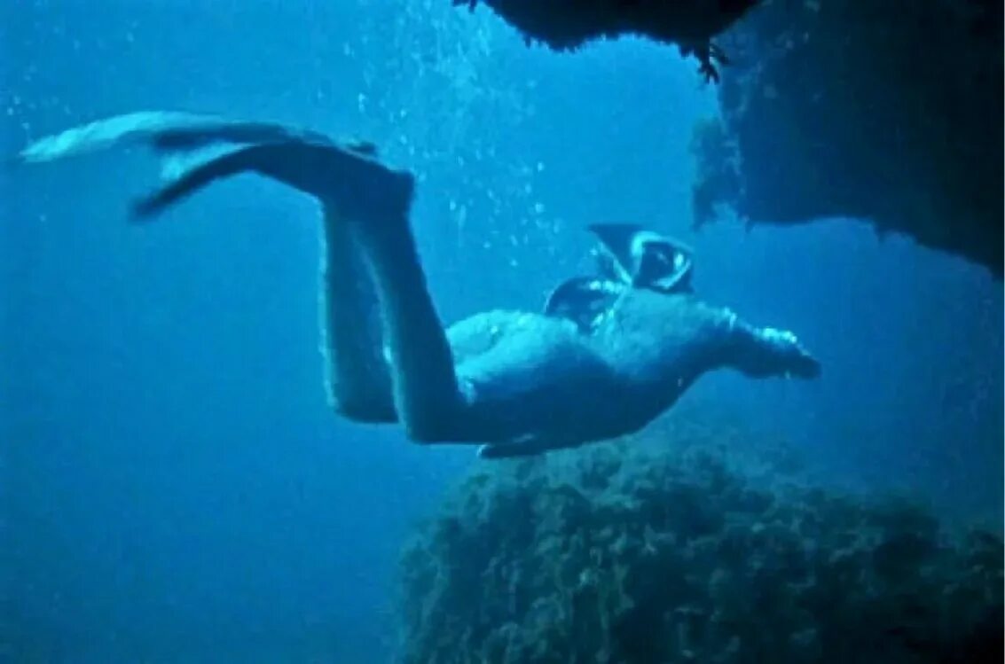 Земноводные ихтиандр. Ихтиандр человек-амфибия. Человек амфибия Ихтиандр под водой.