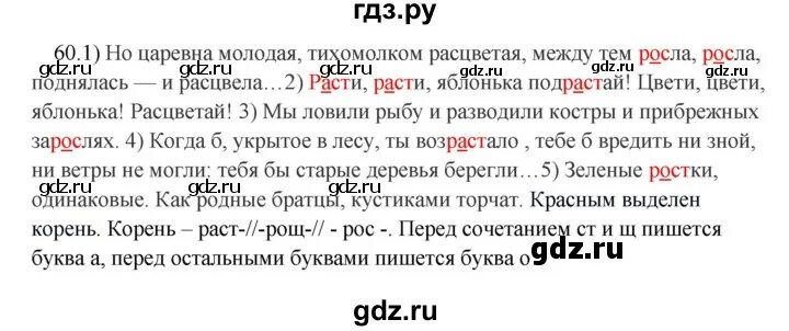 Русский язык 5 класс Быстрова 2 часть. Русский язык 5 класс 2 часть Быстрова 2014 год упражнение 192. Русский язык 5 класс учебник 1 часть Быстрова Кибирёва упражнение 180.