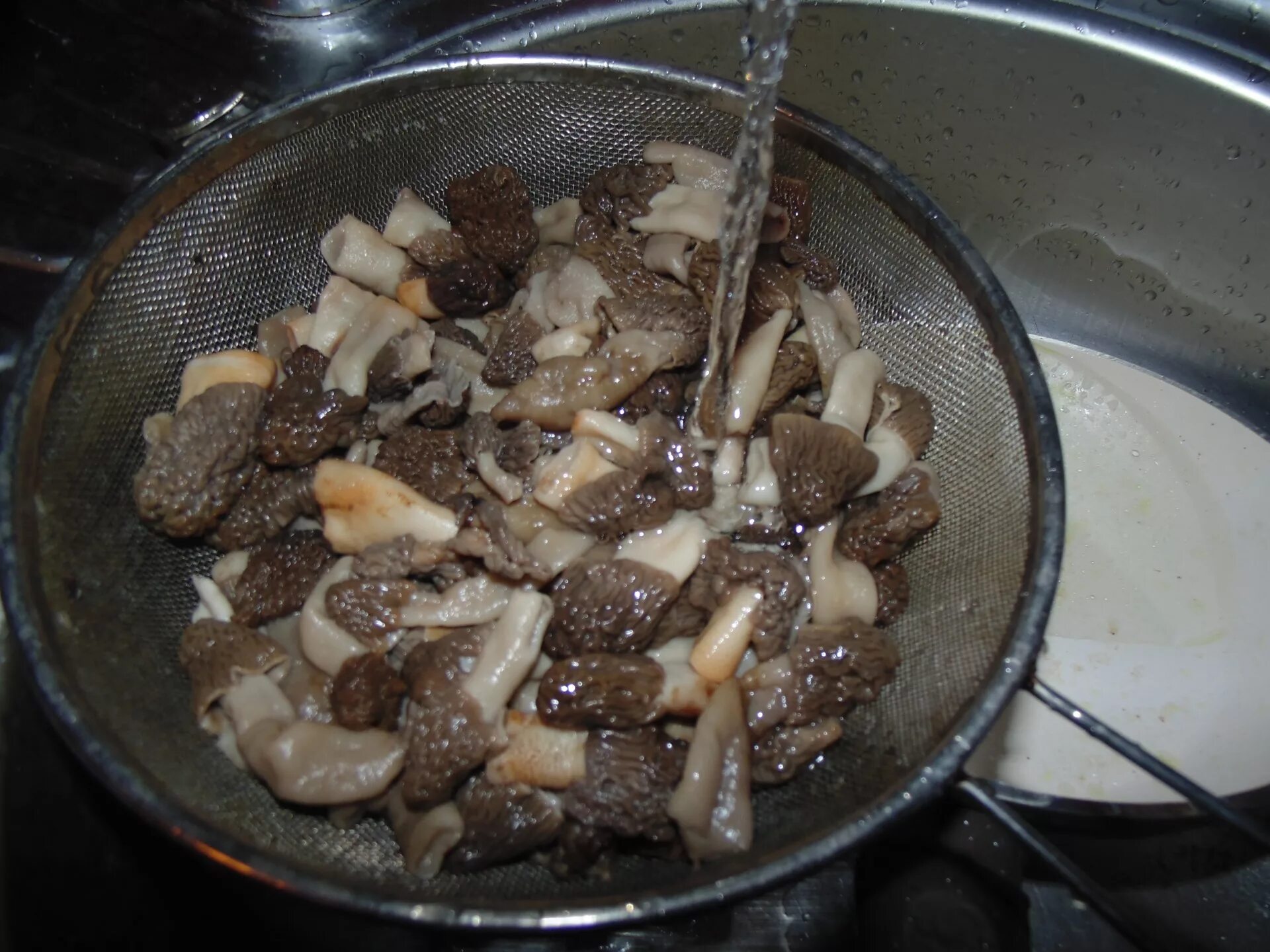 Сколько варить сморчки. Приготовить грибы сморчки. Сморчки грибы блюда. Грибы сморчки вареные. Сморчки приготовленные.