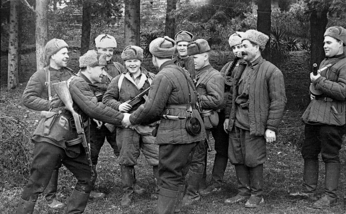 партизанское движение 1941-1945. партизанское движение в годы великой отечественной войны. по партизански. партизанские отряды вов. партизанские отряды кубани 1943.