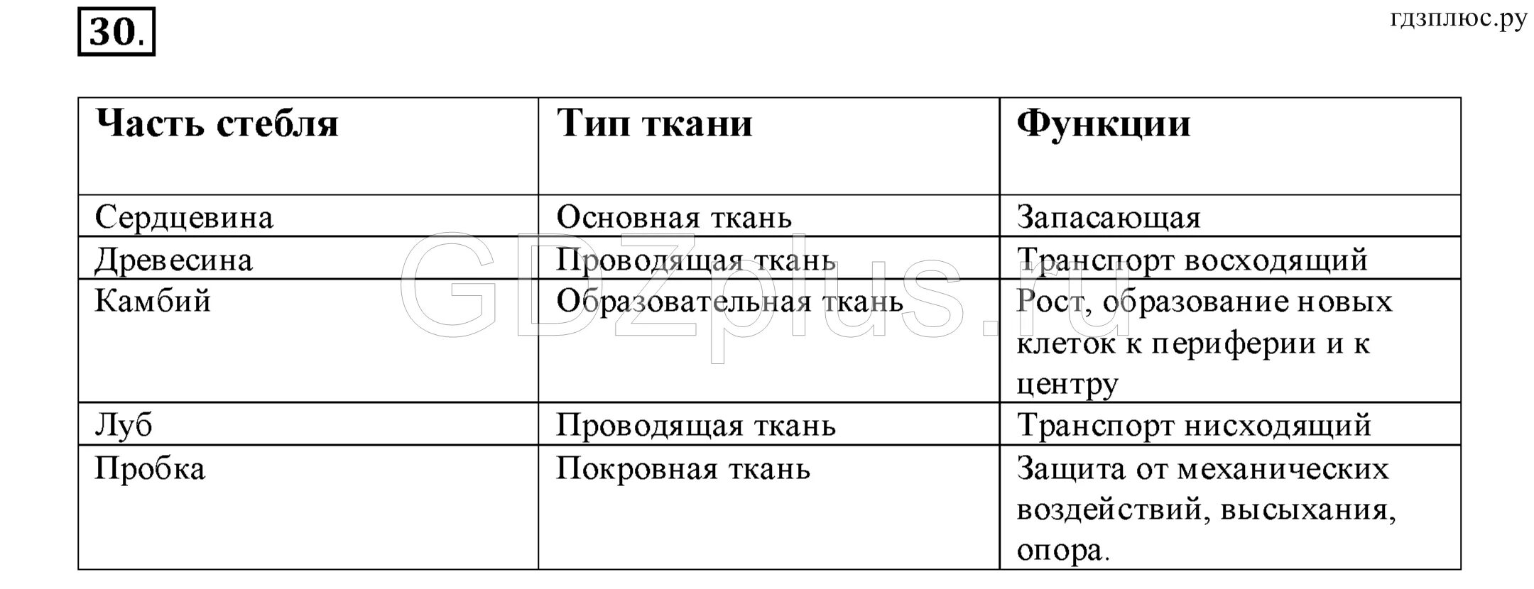 Биология 6 класс параграф 13 пересказ кратко. Параграф 5 6 класс Сонин таблица по биологии. Биология 6 класс Сонин параграф 13 таблица. Биология 6 класс Сонин таблица. Биология 6 класс Сонин таблица к 10 параграфу.