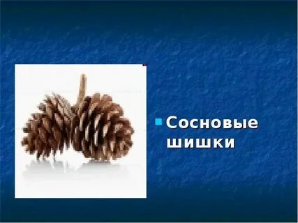 Массаж шишками