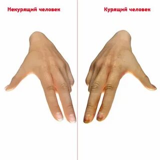 Температура пальцев