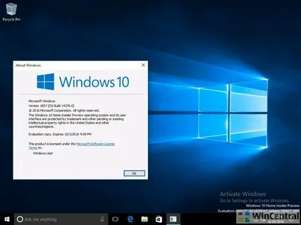Windows 1000