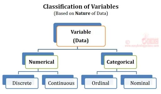 Алгоритмы roadmap. Discrete and continuous variables. Integer variable in c++. What is independent variable. Variable твиттер.