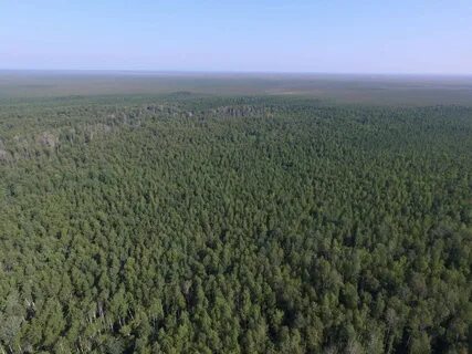 Самый большой заповедник земли