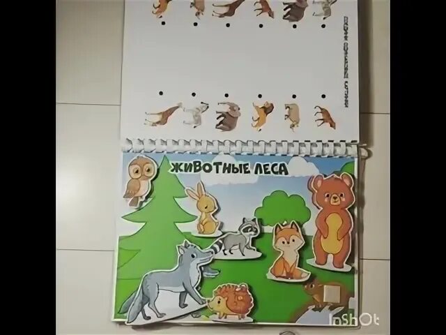 Книжка с наклейками "животные". Макс корж животный мир обложка. 500 наклеек животные. Альбом животный. Домашних животных для детей.