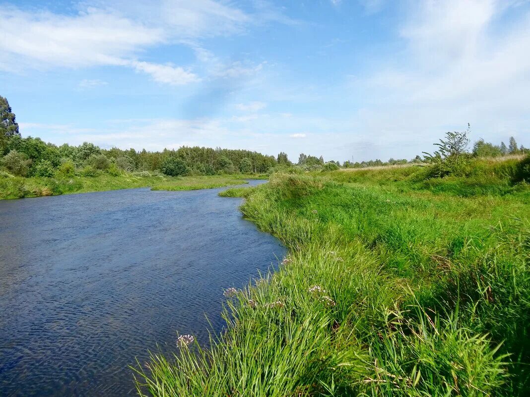 Река уводь. Река Уводь Ивановская область. Река Уводь Малышево. Река Уводь Лежневский район. Уводь река золотые Пески.