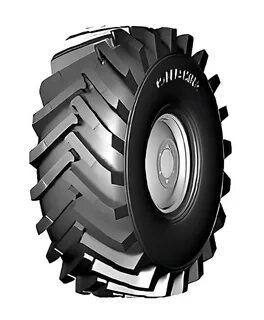 26 8 25