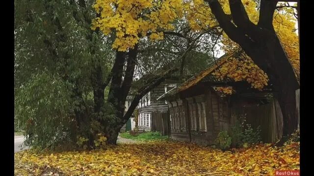 Garden Designing: Another Creative Field To Join Old cemeteries, Cemetery art, G