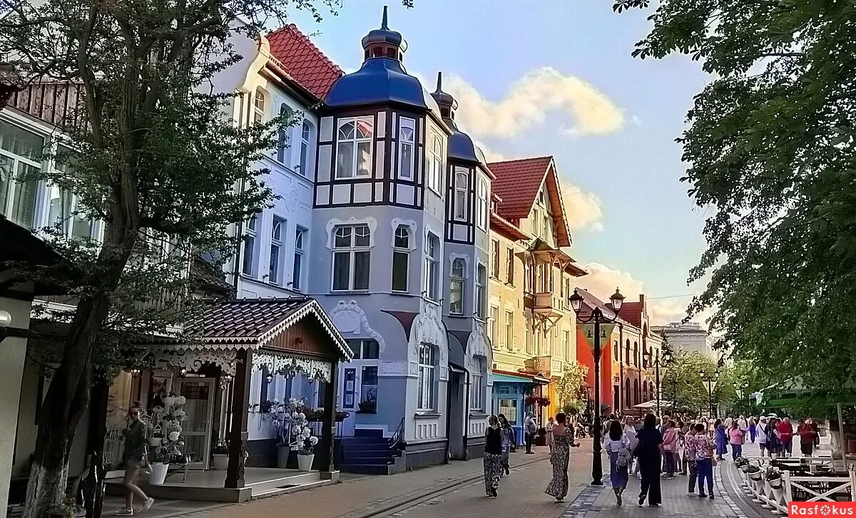 Курортный проспект зеленоградск фото