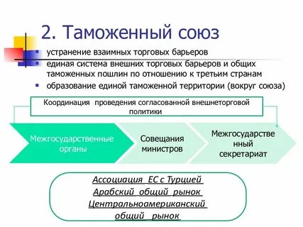 Таможенный союз заключение