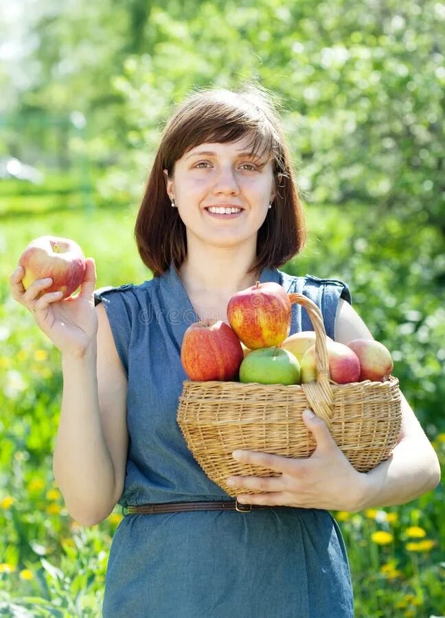 We are gathering apples in the garden