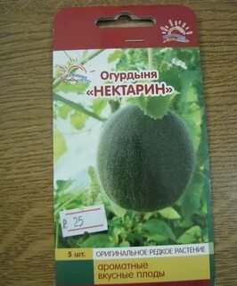 Огурдыня отзывы