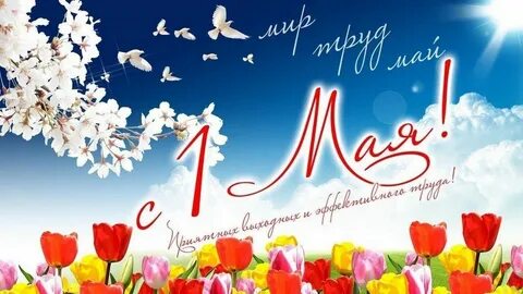 Лет май сайт