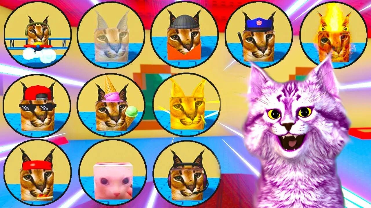 Floppa morphs roblox. Find the floppa. Шлёпа морфы roblox. Флоппа игра. Флоппа морфы роблокс.