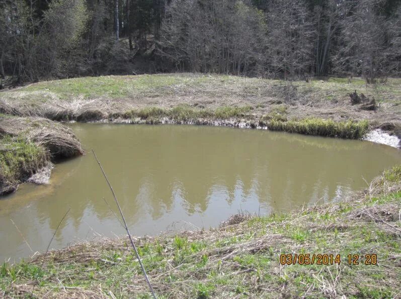 святой бочаг кострома. бочаг. святой бочаг красносельский район. бочаг. святой бочаг кострома.