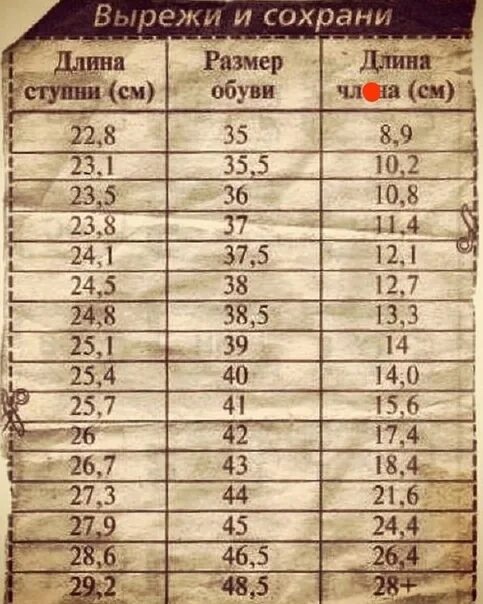 Факторы Влияющие На Размер Пениса