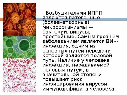 Возбудители парентеральных инфекций