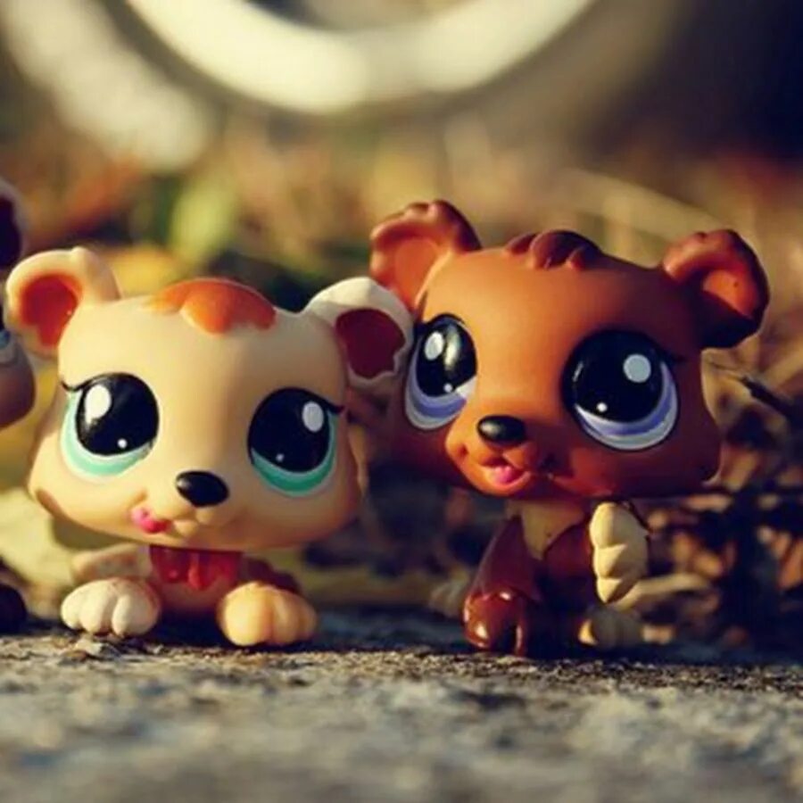 Littlest Pet shop. Детёныши лпс. LPS детёнышами. Little Pet shop 624. Heart pet shop