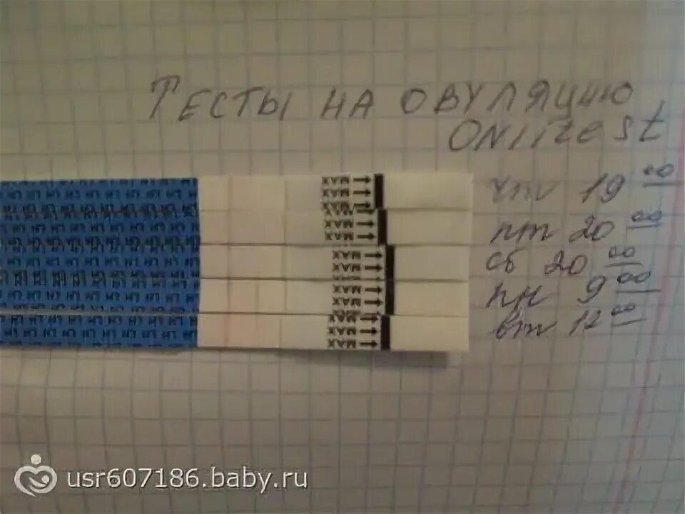 Отмена дюфастона месячные на какой день. Тесты на беременность по дням. Задержка месячных. После дюфастона могут быть месячные. Нормальная задержка месячных.