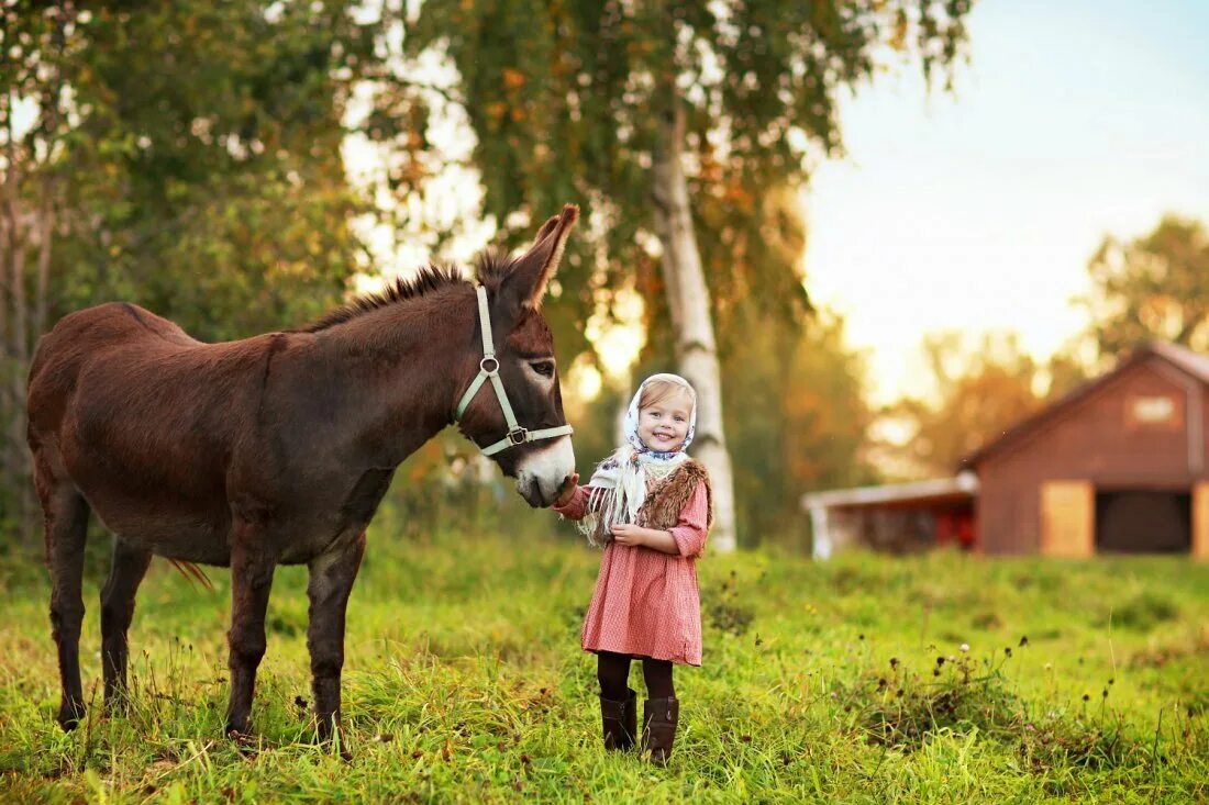 В деревне. Летом в деревне у бабушки. Сельские дети. Сельские дети. Бабушка в деревне.
