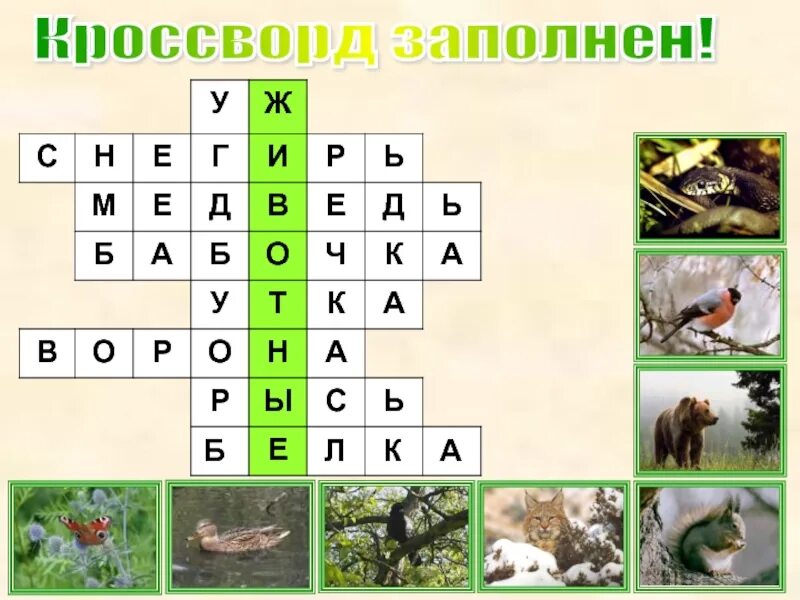 Составьте кроссворд животные. Кроссворд. Кроссворд на тему животные. Кроссворд по биологии животные. Кроссворд по биологии на тему животные.