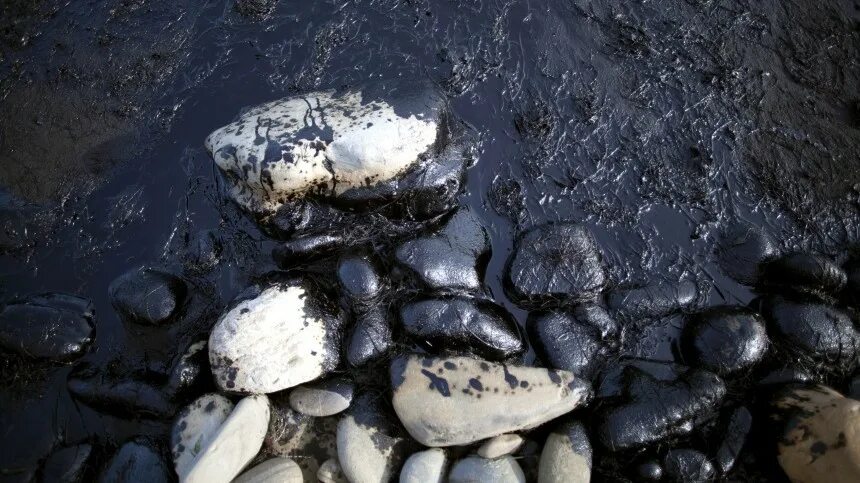 Лазаревское есть ли мазут в море. Разлив нефти в черном море 2025. разлив нефти в новороссийске 2025. черное море загрязнено нефтепродуктами. разлив нефти в новороссийске.
