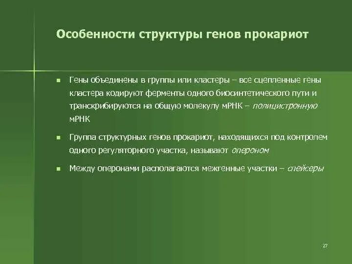 Структура генов прокариот. Структура гена эукариот схема. Структура гена промотон. Особенности строения гена прокариот. Особенности строения гена прокариот.