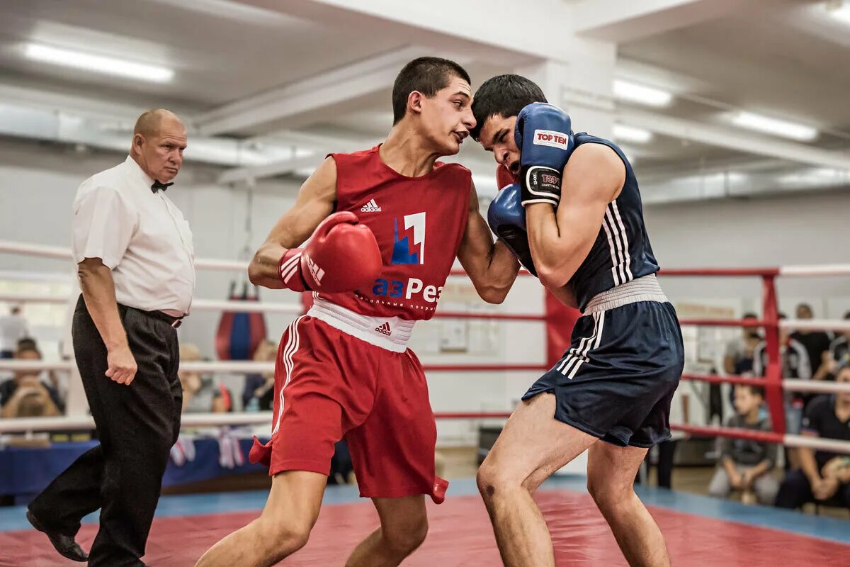 моды на мелан сан бокс