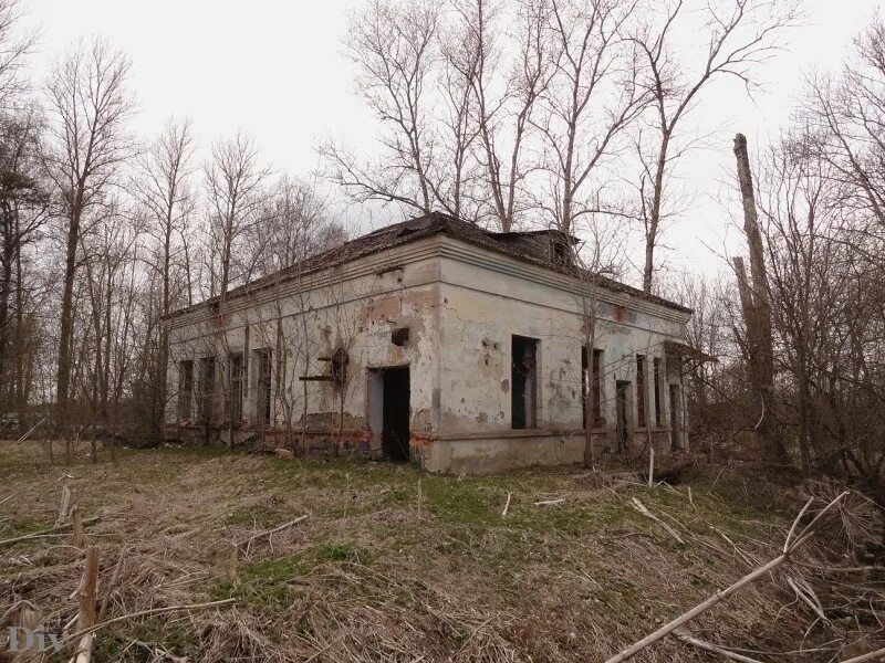 погода тесово 4 на неделю