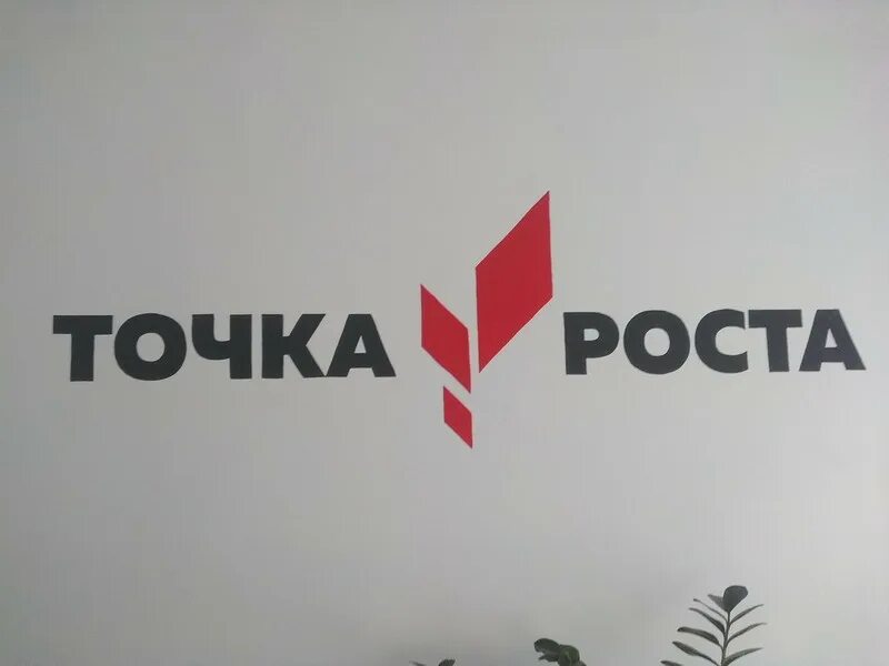 Информация о центре точка роста. Точка роста. Фирменный знак точка роста. Проект точка роста лого. Центр точка роста логотип.