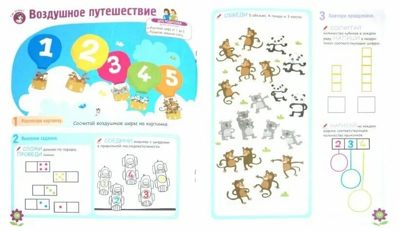 и. макс рубнер. м б развитие. м б развитие. м б развитие.