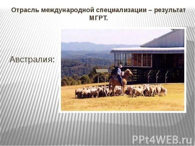 Отраслью международной специализации австралии является. Отрасли международной специализации австралии. специализация хозяйства австралии. отрасли международной хозяйственной специализации австралии. австралия специализация мгрт.