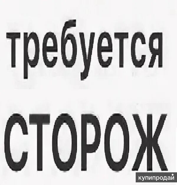 Сторож без проживания. Требуются сторожа. Требуется сторож охранник. Сторож на автостоянку. Требуется сторож картинка.