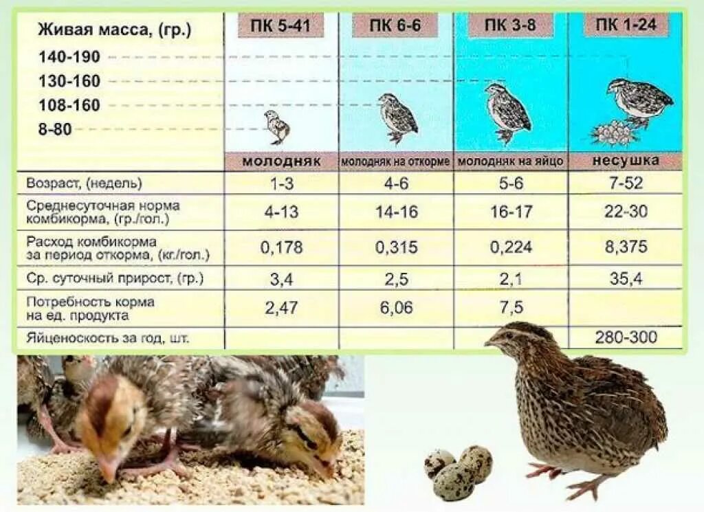 Сколько грамм птицы