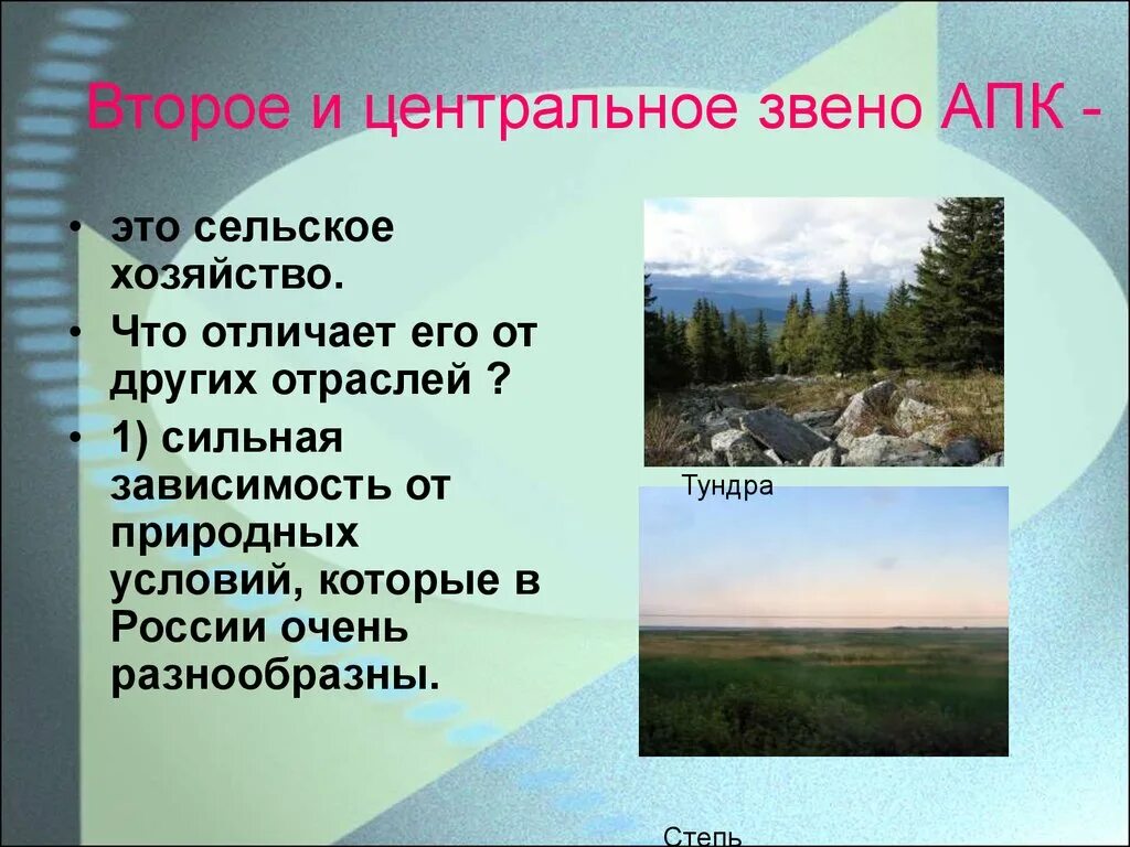 Что отличает сельское хозяйство от других отраслей. Центральное звено АПК. Агропромышленный комплекс России. Второе звено АПК.