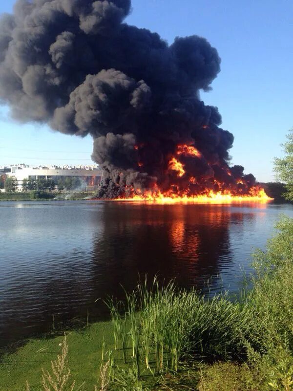 Пожар на Москва реке в Братеево. Пожар в Марьино горит Москва река. Москва река горит в Марьино. Пожар Москва река Капотня. Черный дым сегодня