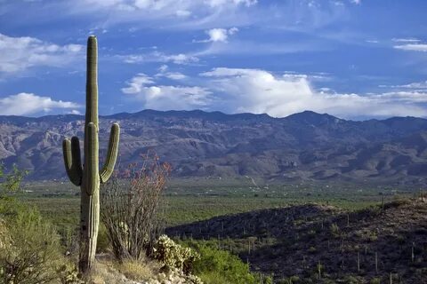 Us az