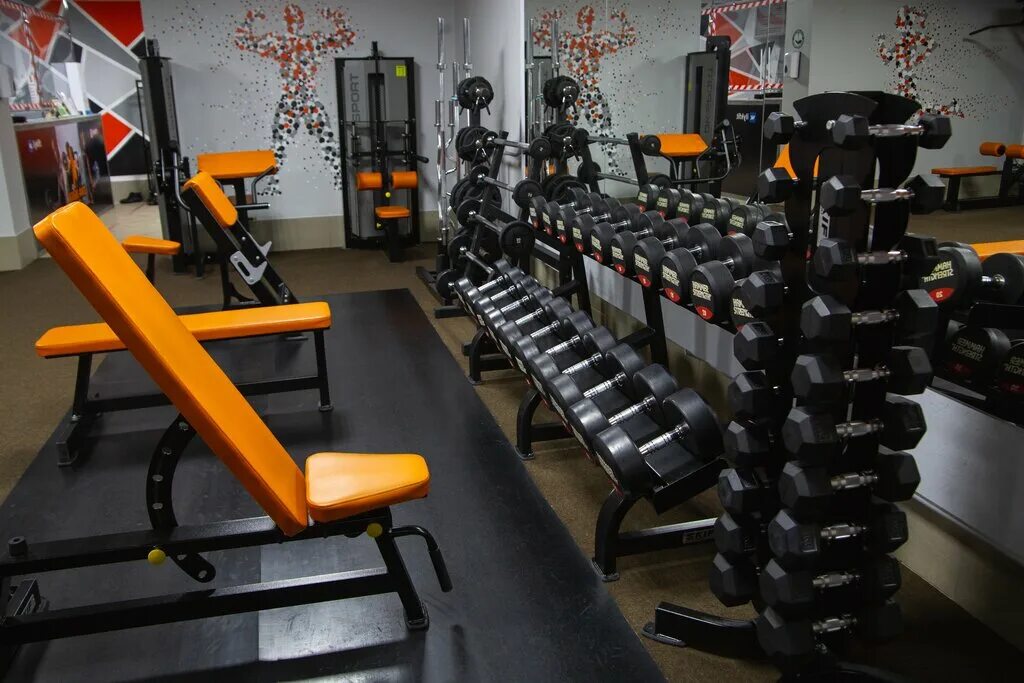 фитнес лайф огарев плаза. фитнес мафия fitness mafia. тренажерный саранск. фитнес лайф саранск сити парк. олимп саранск тренажерный зал.