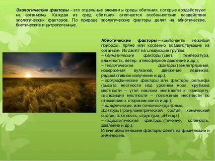 Окружающее условие