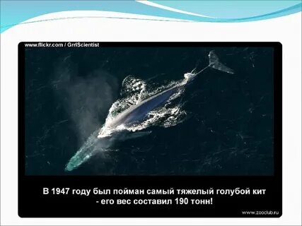 Как можно объяснить распространение синего