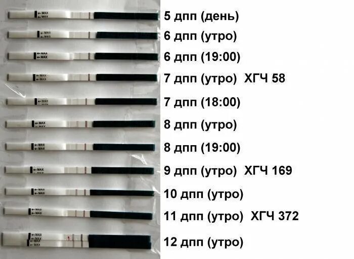 Тесты на беременность после подсадки эмбриона. Тест на 7 день после подсадки эмбрионов. Тесты на беременность после подсадки эмбриона 5 дней. Тесты на беременность на 5 ДПП эмбрионов. Тест на 7 день после переноса эмбриона.