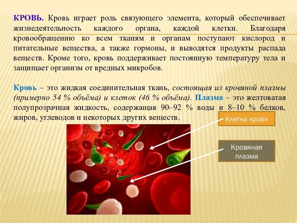 Продукты распада тканей. Вещества в крови. Питательные вещества в крови. Кровь в организме человека.