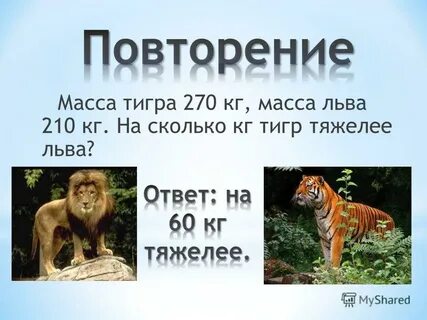 Масса тигра